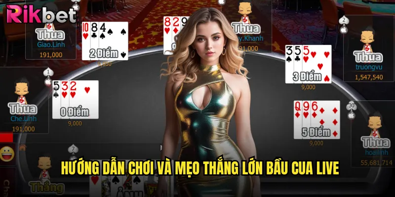Hướng dẫn chơi và mẹo thắng lớn bầu cua live